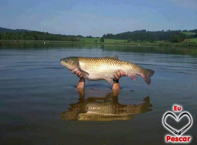 Diverse - 1425696325146230960506746616605n.jpg